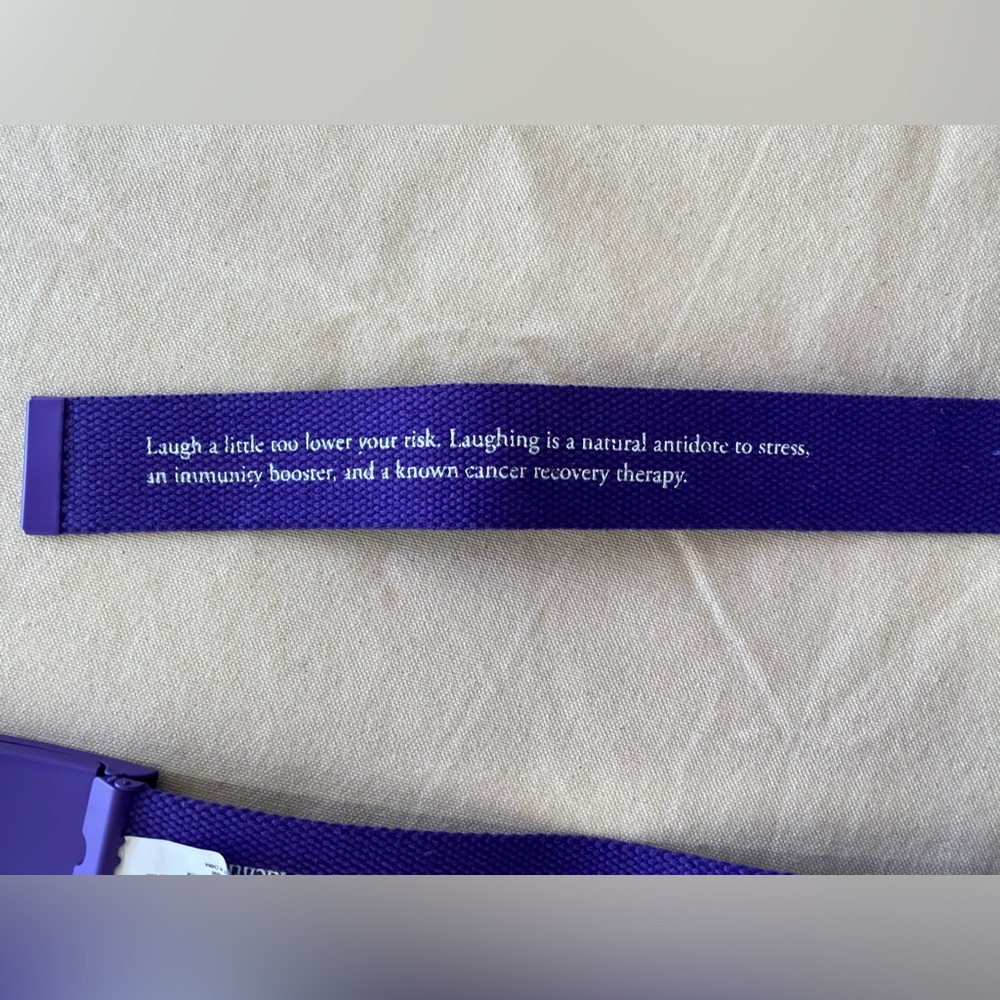 Keep A Breast Cancer Support Purple I Love Boobies Belt Unisex Novelty Y2K OSFM - Picture 3 of 6